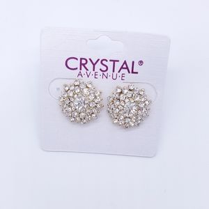 🎁Earrings-Crystal Semi-Starburst
